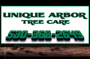 Unique Arbor Tree Care - Tree Pruning, Tree Removal, Tree Service Rocklin CA Rocklin California Tree Service Rocklin California Tree Service Rocklin California